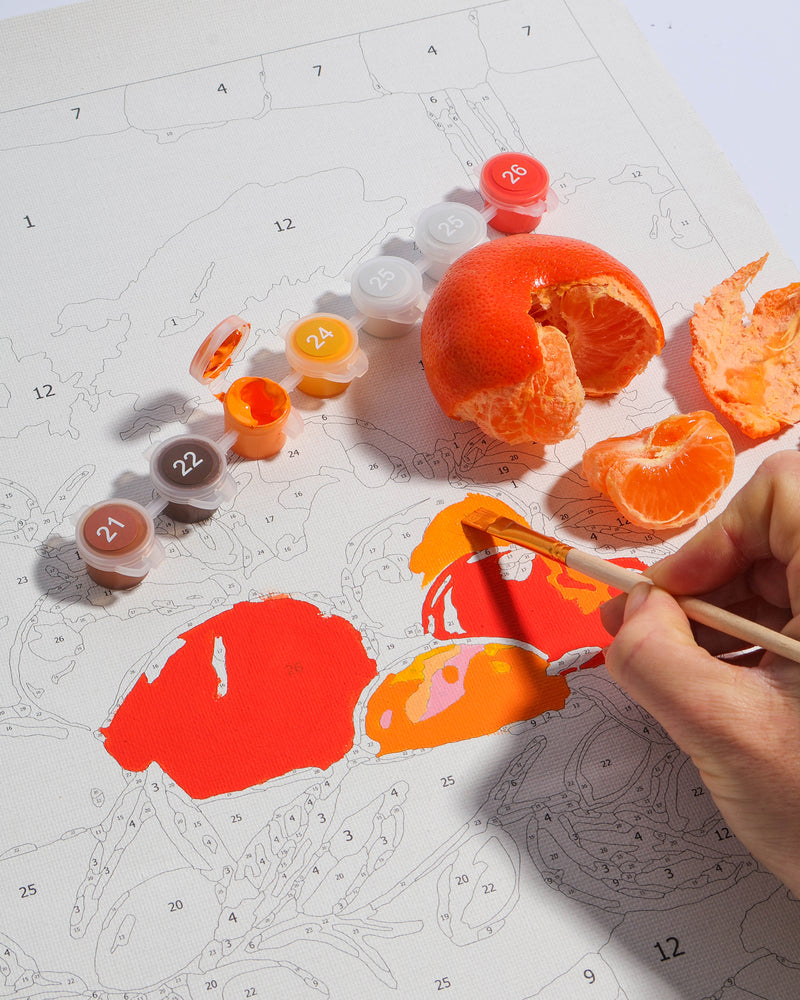 Paint by Numbers - Bowl of Oranges Art & Craft Kits Journey of Something