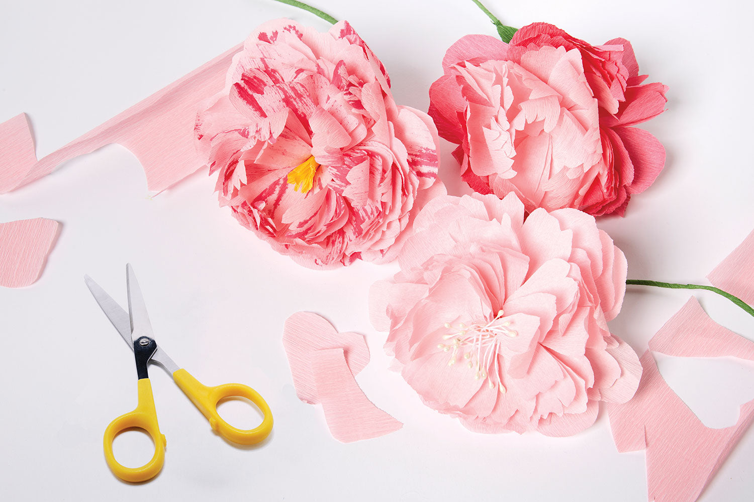 Paper Flower Kit - Peony. Papercraft kit for women. A creative gift idea.