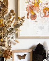 Paint by Numbers - Pink Haze Art & Craft Kits Journey of Something