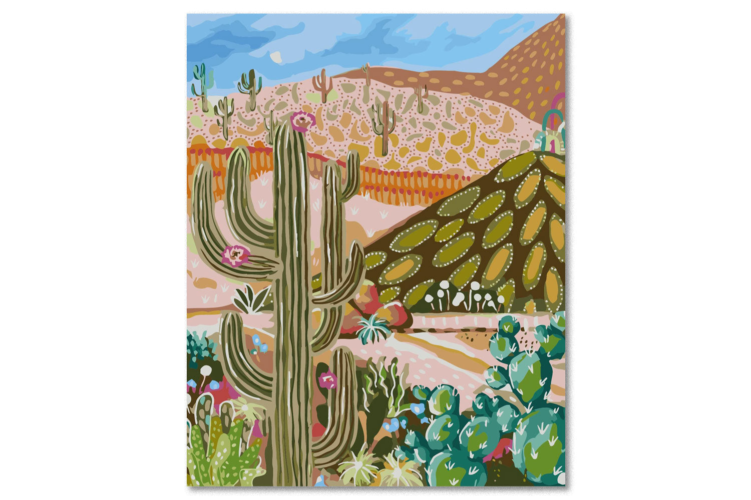 Paint By Numbers, Cactus Valley, Australia, Art Kit